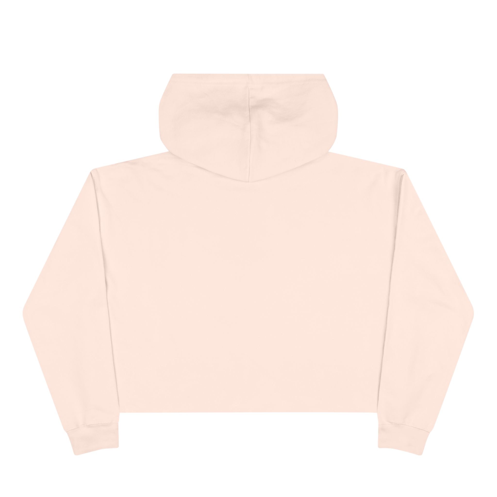 Hoochie Social Club Cropped Hoodie — Retro Sun Cat Graphic