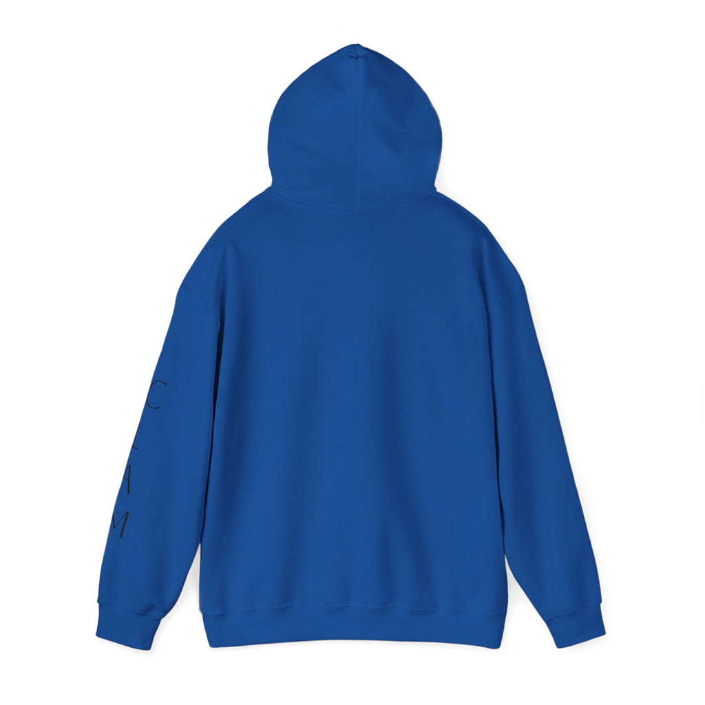 Cozy Hoodie — Classic Unisex Pullover