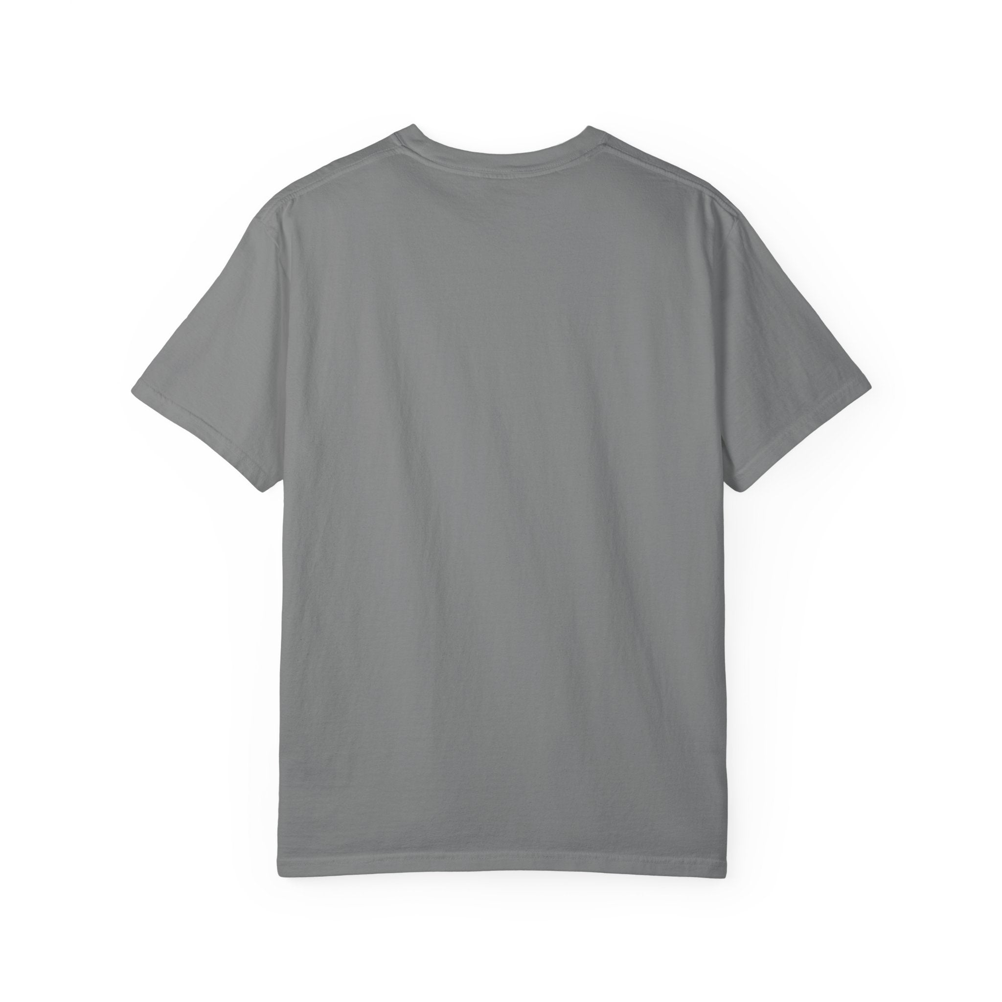 Unisex Garment-Dyed Hoochies for Dummies T-shirt