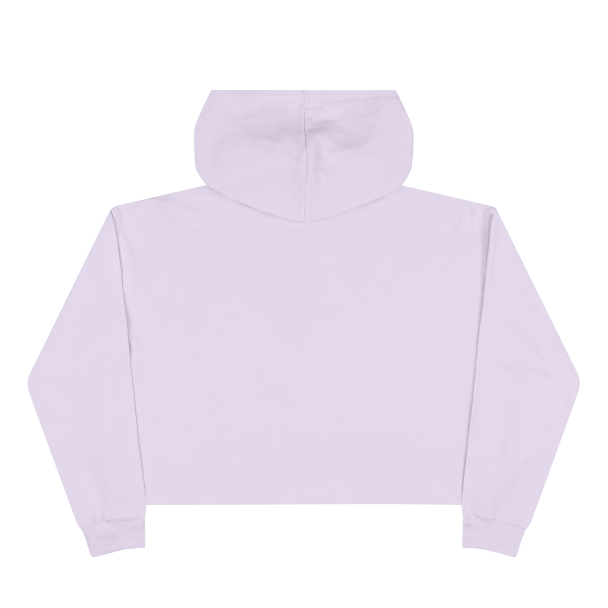 Hoochie Social Club Cropped Hoodie — Retro Sun Cat Graphic