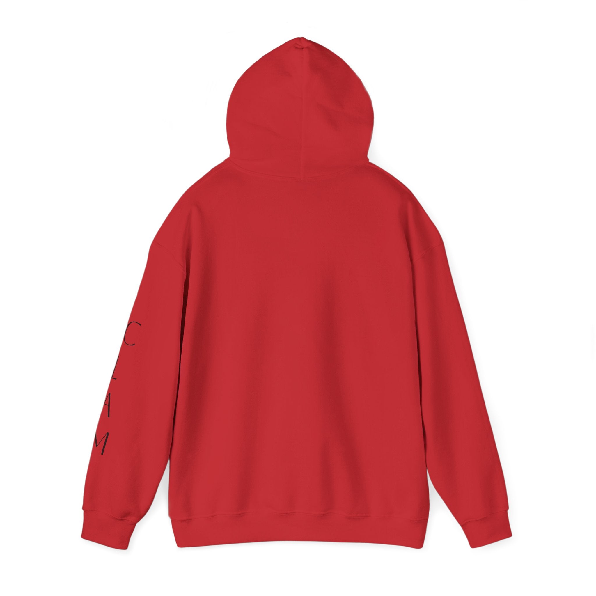Cozy Hoodie — Classic Unisex Pullover