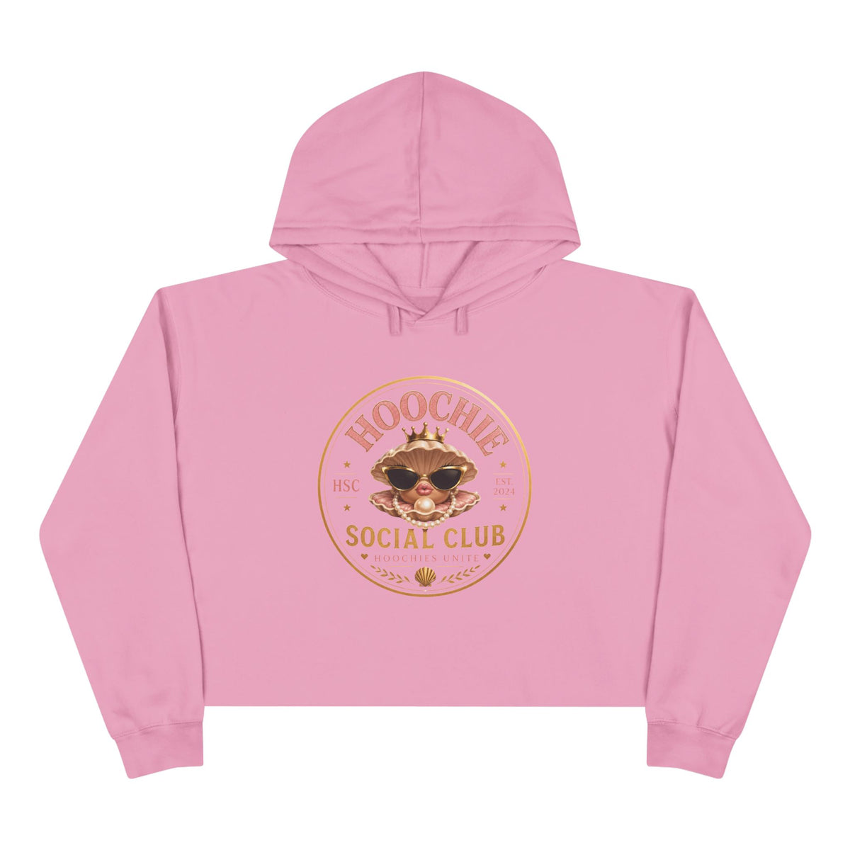 Hoochie Social Club Cropped Hoodie — Retro Sun Cat Graphic