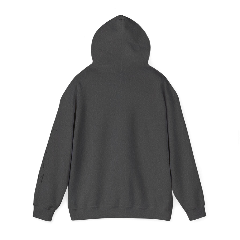 Cozy Hoodie — Classic Unisex Pullover