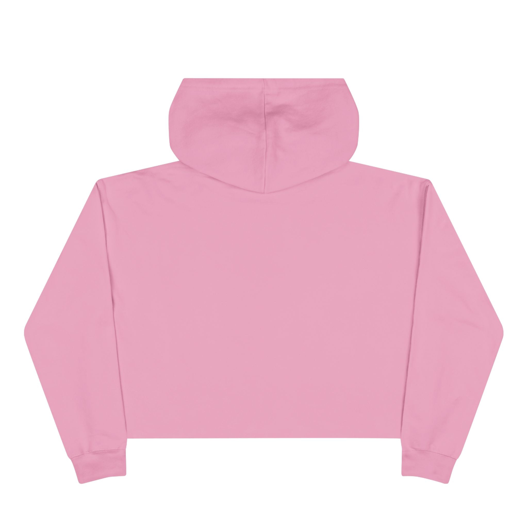 Hoochie Social Club Cropped Hoodie — Retro Sun Cat Graphic