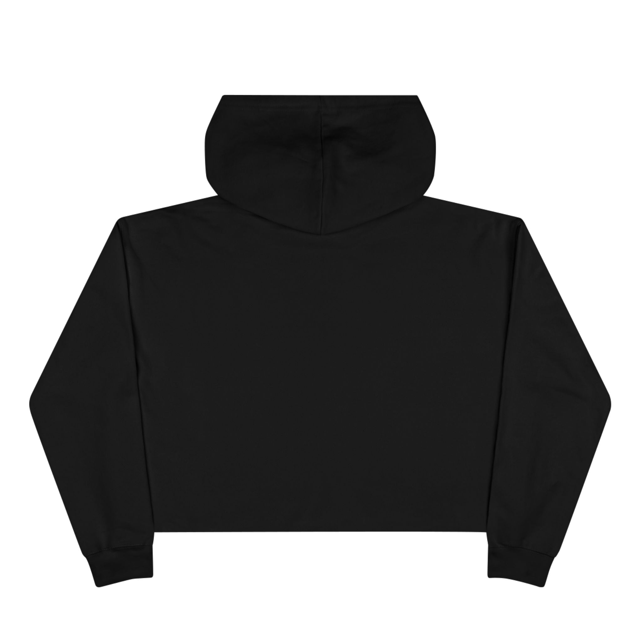 Hoochie Social Club Cropped Hoodie — Retro Sun Cat Graphic