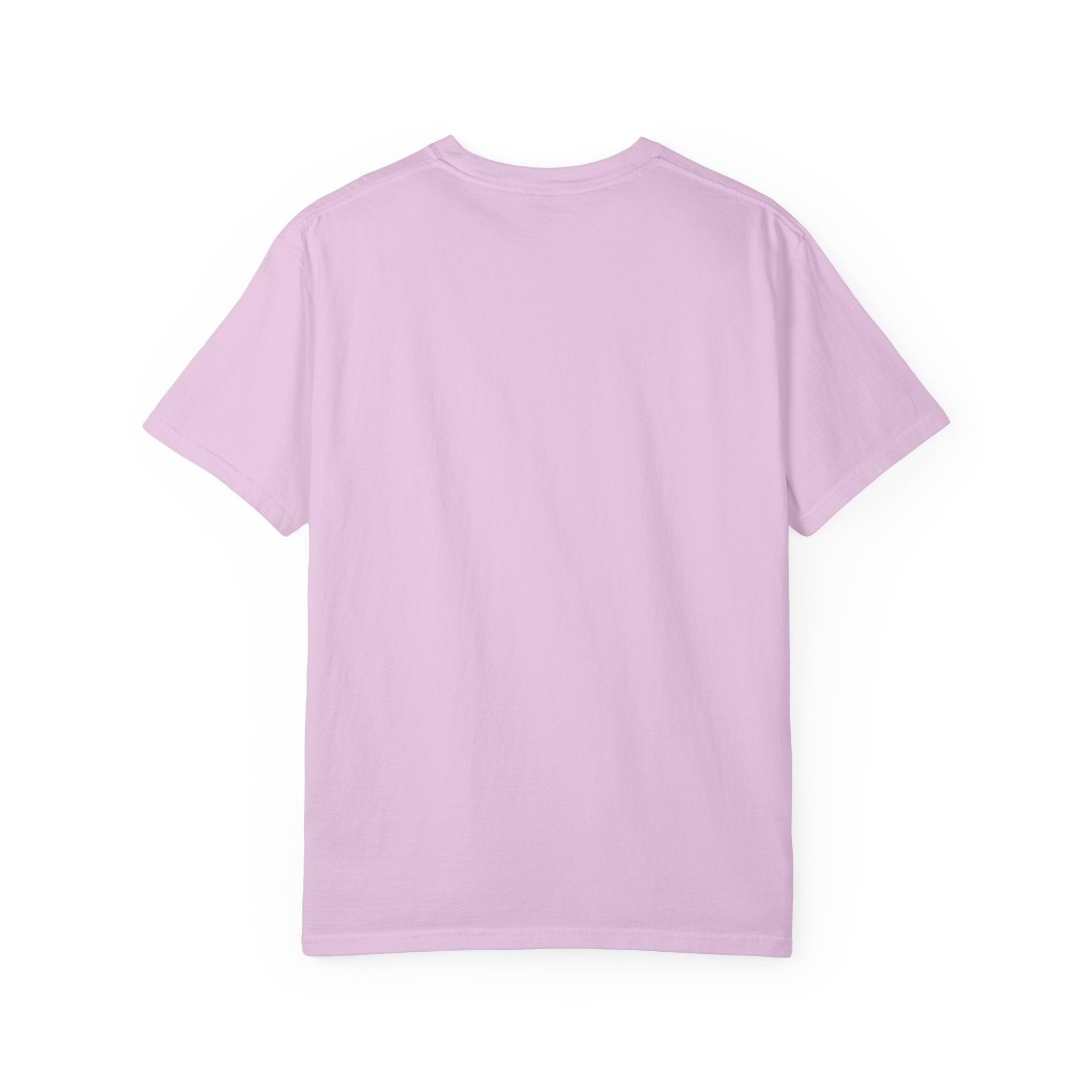 Unisex Garment-Dyed Hoochies for Dummies T-shirt