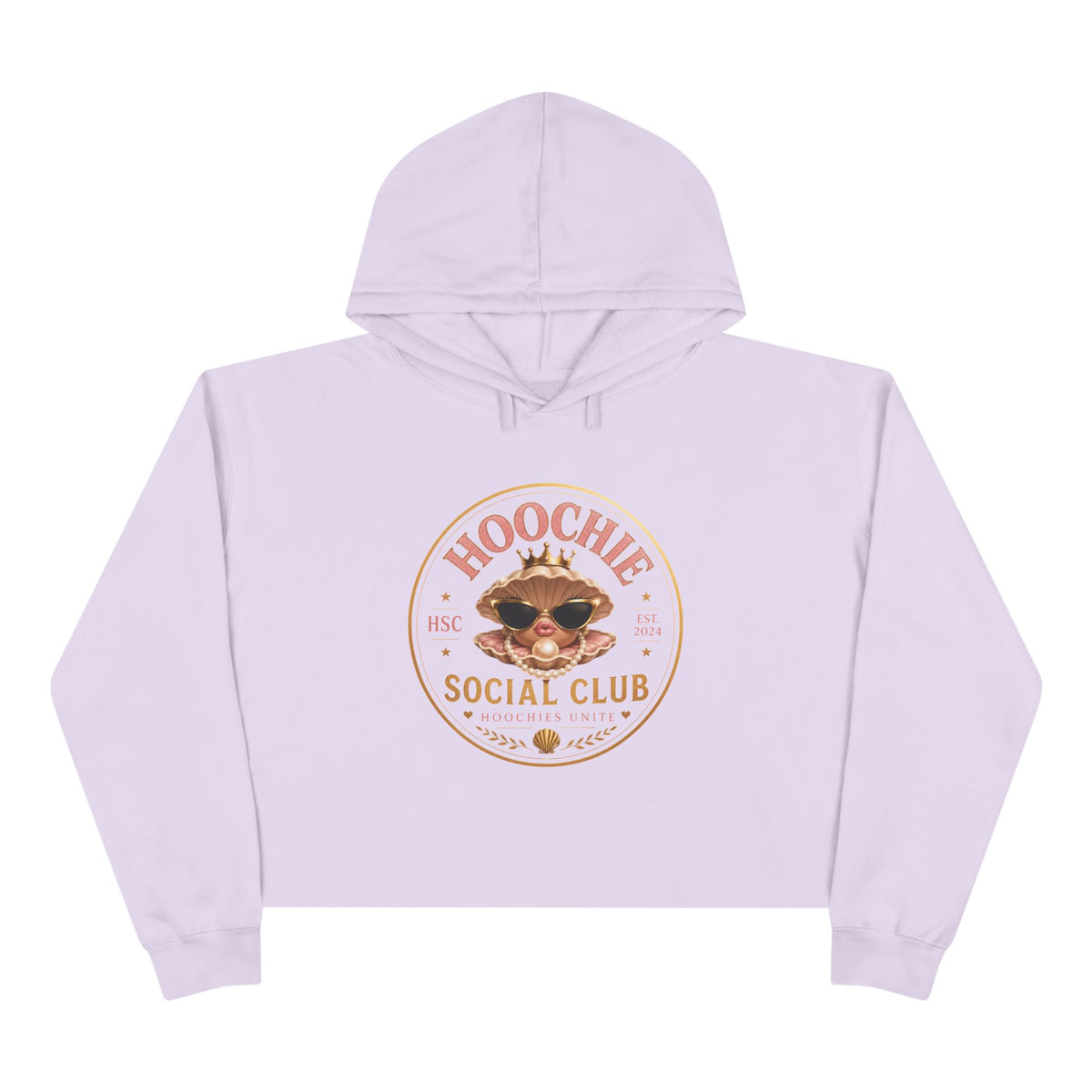 Hoochie Social Club Cropped Hoodie — Retro Sun Cat Graphic